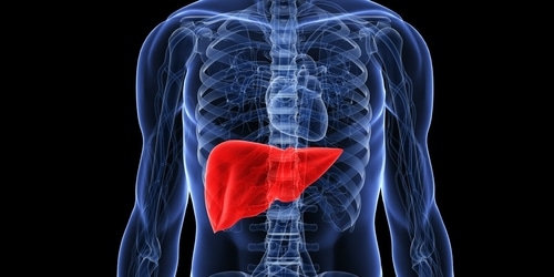 If you catch liver damage early and stop drinking alcohol, your liver can heal a lot., as per a doctor. (Twitter/AHealthyBod) If you catch liver damage early and stop drinking alcohol, your liver can heal a lot., as per a doctor. (Twitter/AHealthyBod)
