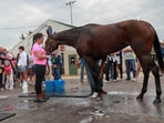 The Kentucky Oaks 2025 will take place at Churchill Downs on May 2, 2025.  REUTERS/Amira Karaoud