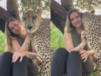 A viral video showed a woman cuddling and kissing a calm cheetah. A viral video showed a woman cuddling and kissing a calm cheetah.