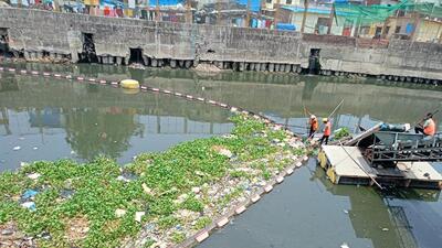 BMC to install 14 more trash booms to stop garbage from flowing into Arabian Sea, Thane Creek BMC to install 14 more trash booms to stop garbage from flowing into Arabian Sea, Thane Creek