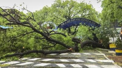 An uprooted tree blocks a road following a thunderstorm and rains on the Safdarjung Road on Friday. (PTI) An uprooted tree blocks a road following a thunderstorm and rains on the Safdarjung Road on Friday. (PTI)