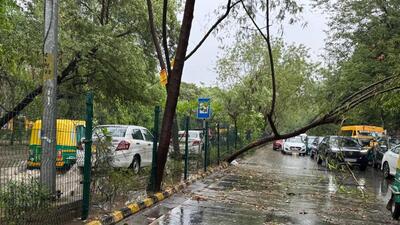 Dakshin Haryana Bijli Vitran Nigam officials reported outages from several locations across the city, mainly due to damage caused by uprooted trees and branches (Parveen Kumar/HT Photos) Dakshin Haryana Bijli Vitran Nigam officials reported outages from several locations across the city, mainly due to damage caused by uprooted trees and branches (Parveen Kumar/HT Photos)
