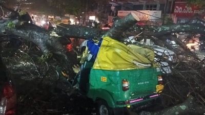 A massive tree crashed on an auto in Bengaluru, resulting the death of the autodriver. A massive tree crashed on an auto in Bengaluru, resulting the death of the autodriver.