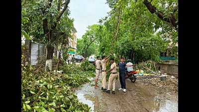 Gurugram police personnel removing uprooted trees at Palam Vihar Road after heavy rains lashed the city on Friday. (HT PHOTO) Gurugram police personnel removing uprooted trees at Palam Vihar Road after heavy rains lashed the city on Friday. (HT PHOTO)