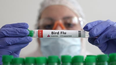 H5N1 scare increasing again in 2025? H5N1 scare increasing again in 2025?