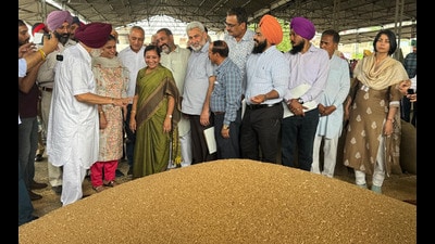 Lal Chand Kataruchak with the Union minister during their visit at Asia’s largest grain market in Khanna on Friday. (HT Photo) Lal Chand Kataruchak with the Union minister during their visit at Asia’s largest grain market in Khanna on Friday. (HT Photo)
