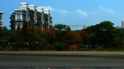 Navi Mumbai, India - May 2, 2025:NRI Complex. APCCF mangroves cell confirms that NRI wetlands at Seawoods in Navi Mumbai, India, on Friday, May 2, 2025. (Photo by Bachchan Kumar/ HT PHOTO) (HT PHOTO)