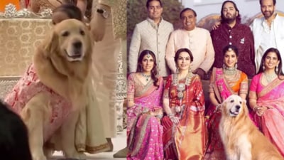 The Ambani family bid farewell to their golden retriever, Happy. The Ambani family bid farewell to their golden retriever, Happy.