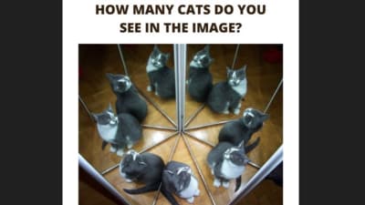How many cats can you spot in this tricky image? (Facebook/Dreame ) How many cats can you spot in this tricky image? (Facebook/Dreame )
