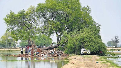 The collapsed house under an uprooted Neem tree at Kharkhari Nahar Village in Najafgarh on Friday morning. (Vipin Kumar/HT photo) The collapsed house under an uprooted Neem tree at Kharkhari Nahar Village in Najafgarh on Friday morning. (Vipin Kumar/HT photo)