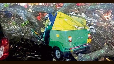 The severely damaged auto belonging to Mahesh, who died after a tree fell on his vehicle on Thursday night. (HT Photo) The severely damaged auto belonging to Mahesh, who died after a tree fell on his vehicle on Thursday night. (HT Photo)