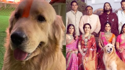 The family's pet, Happy, passed away on April 30. (Instagram/@mumbaiindians)