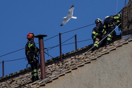 A seagull flies near firefighters as they work on the roof of the Sistine Chapel to set a chimney, ahead of the conclave, at the Vatican May 2, 2025. (Reuters)