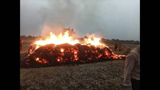 Stored wheat crop burnt due to lightning at a Kasganj village (HT Photo)