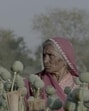 A still from the feature documentary, “I, Poppy”, directed by Vivek Chaudhary, which won the top award at Hot Docs (Courtesy Hot Docs) A still from the feature documentary, “I, Poppy”, directed by Vivek Chaudhary, which won the top award at Hot Docs (Courtesy Hot Docs)