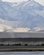 The Indus river in Ladakh with the Himalayas in the backdrop. The river’s path is characterised by its stark and barren landscape, yet it’s a lifeline for the region. (AFP file photo)