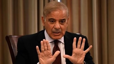 Pakistan Prime Minister Shehbaz Sharif stated that the country had responded to India's alleged actions in a responsible way. (HT_PRINT) Pakistan Prime Minister Shehbaz Sharif stated that the country had responded to India's alleged actions in a responsible way. (HT_PRINT)