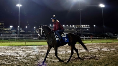 Kentucky Derby 2025 set for May 3 at Churchill Downs, promises thrilling race with a $5 million purse. (Photo by Michael Reaves / GETTY IMAGES NORTH AMERICA / Getty Images via AFP)) Kentucky Derby 2025 set for May 3 at Churchill Downs, promises thrilling race with a $5 million purse. (Photo by Michael Reaves / GETTY IMAGES NORTH AMERICA / Getty Images via AFP))