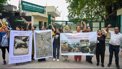 The protestors demanded better conditions for animals, irrespective of who manages the facility. (Sunil Ghosh/HT Photo) The protestors demanded better conditions for animals, irrespective of who manages the facility. (Sunil Ghosh/HT Photo)