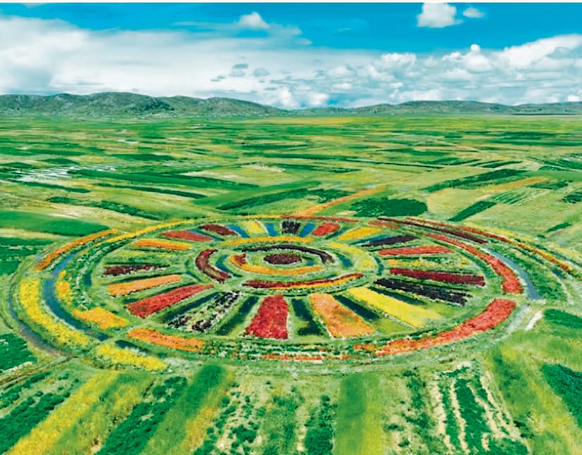 The raised fields and irrigation canals of the Waru Waru agricultural system in Peru. (World Monuments Fund) The raised fields and irrigation canals of the Waru Waru agricultural system in Peru. (World Monuments Fund)