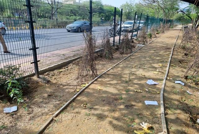 The spot along Sunset Boulevard Road where the body was found. (Parveen Kumar/HT Photo)