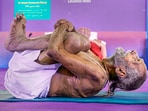 Yoga Guru Swami Sivananda performs an 'asana' during the Hitex SportsExpo, in Hyderabad. Swami Sivananda passed away due to cardiac arrest late Saturday. Yoga Guru Swami Sivananda performs an 'asana' during the Hitex SportsExpo, in Hyderabad. Swami Sivananda passed away due to cardiac arrest late Saturday.