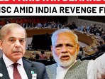 Revealed: Scared Pakistan's demand at UNSC as fear of India revenge rises Revealed: Scared Pakistan's demand at UNSC as fear of India revenge rises
