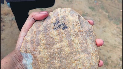 Archaeologists and researchers working at the Mangar section of the range have found a trove of prehistoric tools and rock paintings from the Lower Palaeolithic age (HT Photo) Archaeologists and researchers working at the Mangar section of the range have found a trove of prehistoric tools and rock paintings from the Lower Palaeolithic age (HT Photo)