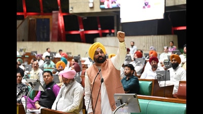 Chief minister Bhagwant Mann addressing the House during the one day special session on Monday. (Ravi Kumar/HT) Chief minister Bhagwant Mann addressing the House during the one day special session on Monday. (Ravi Kumar/HT)