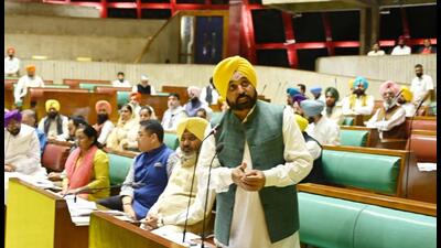 Members of the Punjab Vidhan Sabha paid tributes to the victims of the Pahalgam terror attack during the special session in Chandigarh on Monday. (HT file photo)