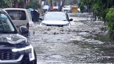 The announcement comes days after a thunderstorm on Friday caused widespread tree damage across the city. (Vipin Kumar/HT Photo)