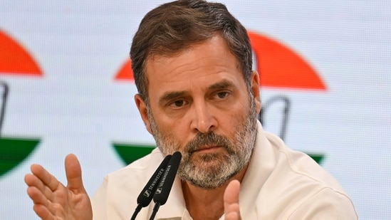 The petition claims that Rahul Gandhi's alleged citizenship of another country contravenes Indian law, which doesn't permit dual citizenship. (Raj K Raj /HT Photo)
