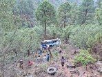 Locals reached the site of the incident after a private bus skidded off the road and fell into a deep gorge. 