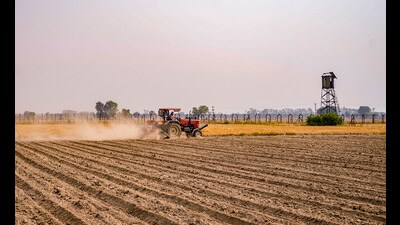 A field along Pakistan border near Amritsar. (PTI file) A field along Pakistan border near Amritsar. (PTI file)