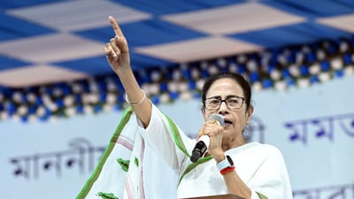 Mamata Banerjee said 'we all should together fight the battle against terrorism' (HT Photo)