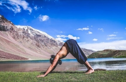 Adhomukhi Svanasana (Grand Master Akshar) Adhomukhi Svanasana (Grand Master Akshar)