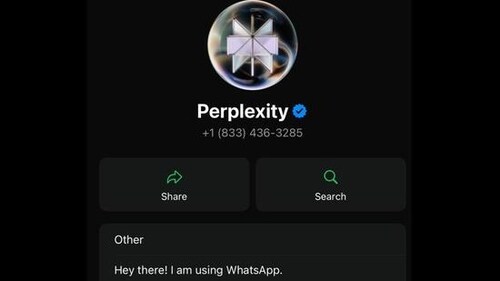 Perplexity Perplexity