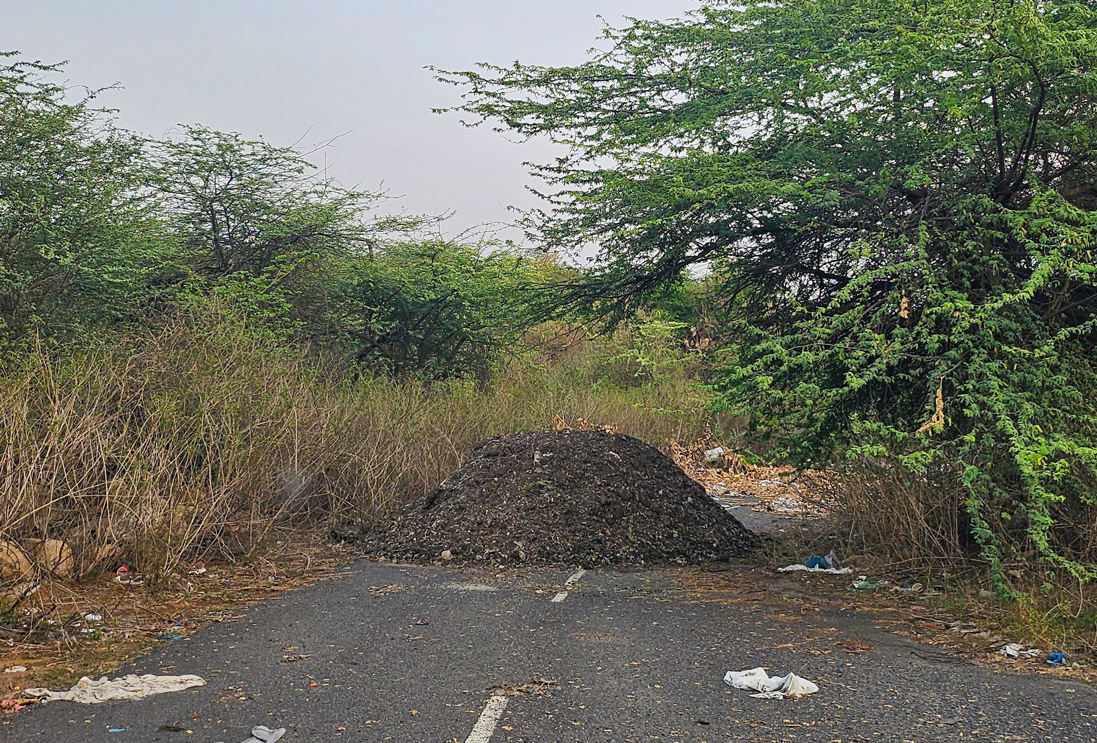 Illegal dumping sites in forest area of Mangar village near Mauji Dham Hanuman Mandir, in Gurugram as spotted by activists. (Parveen Kumar/HT Photo) Illegal dumping sites in forest area of Mangar village near Mauji Dham Hanuman Mandir, in Gurugram as spotted by activists. (Parveen Kumar/HT Photo)