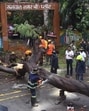 Thane, India - May -07, 2025: ,A Big tree fell on a rickshaw at Runwal Nagar in Thane due to heavy rains in Thane, killing a passenger and injuring the rickshaw driver Ê,in Thane,in Mumbai, India, on, Wednesday, May -07, 2025. ( Praful Gangurde /HT Photo ) Thane, India - May -07, 2025: ,A Big tree fell on a rickshaw at Runwal Nagar in Thane due to heavy rains in Thane, killing a passenger and injuring the rickshaw driver Ê,in Thane,in Mumbai, India, on, Wednesday, May -07, 2025. ( Praful Gangurde /HT Photo )