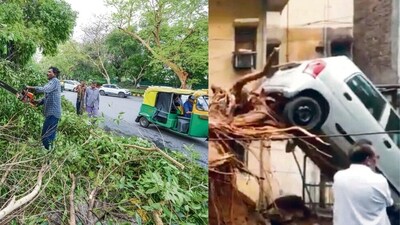 NDMC has been catering to the complaints of uprooted trees in central parts of Delhi. (Right) A grab from the video showing wreckage caused by an uprooted tree in south Delhi's Sheikh Sarai. (Photo: Rak J Rak/HT and Instagtam) NDMC has been catering to the complaints of uprooted trees in central parts of Delhi. (Right) A grab from the video showing wreckage caused by an uprooted tree in south Delhi's Sheikh Sarai. (Photo: Rak J Rak/HT and Instagtam)