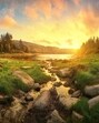 Always better days ahead. According to author Viktor E Frankl: ““Everything can be taken from a man but one thing: the last of the human freedoms – to choose one’s attitude in any given set of circumstances, to choose one’s own way.” (Shutterstock)