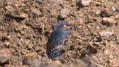 A bomb was recovered from a residential area in Jaisalmer’s Kishangarh. (PTI) A bomb was recovered from a residential area in Jaisalmer’s Kishangarh. (PTI)