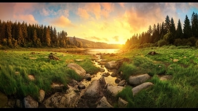 Always better days ahead. According to author Viktor E Frankl: ““Everything can be taken from a man but one thing: the last of the human freedoms – to choose one’s attitude in any given set of circumstances, to choose one’s own way.” (Shutterstock) Always better days ahead. According to author Viktor E Frankl: ““Everything can be taken from a man but one thing: the last of the human freedoms – to choose one’s attitude in any given set of circumstances, to choose one’s own way.” (Shutterstock)