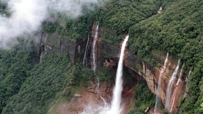 The order also aims to curb illegal and undesirable activities including the smuggling of cattle, contraband goods, cigarettes, and tea leaves in and around the Indo-Bangladesh border. (Meghalaya Tourism) The order also aims to curb illegal and undesirable activities including the smuggling of cattle, contraband goods, cigarettes, and tea leaves in and around the Indo-Bangladesh border. (Meghalaya Tourism)