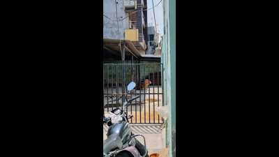 Seema Singh, the revenue inspector in question, did not answer calls even after being approached multiple times to get her version vis a vis the allegations. (HT)
