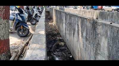 The condition of a drain near Vibhuti Khand in Lucknow on Friday (HT) The condition of a drain near Vibhuti Khand in Lucknow on Friday (HT)