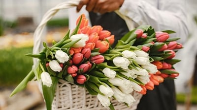 You can never go wrong with flowers on Mother's Day. Go classic with a bouquet or add a rustic touch with a basket. Tip: Choosing your mom's favourite flowers is a bonus! You can never go wrong with flowers on Mother's Day. Go classic with a bouquet or add a rustic touch with a basket. Tip: Choosing your mom's favourite flowers is a bonus!