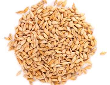 Barley can be used in soups, salads, or as a rice substitute. (Freepik)