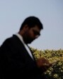 The aggrieved people approached the high court seeking contempt action against the tahsildar. (REUTERS)