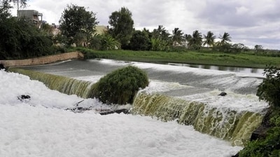 In 2015, Bellandur lake started frothing because of unchecked dumping of sewage and industrial effluents. (HT archive)